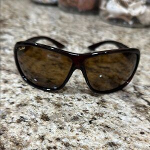 Sleek Brown Sunglasses